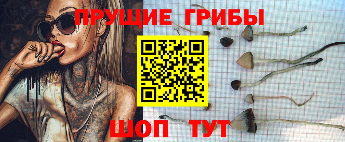 Псилоцибиновые грибы ЛСД Саров