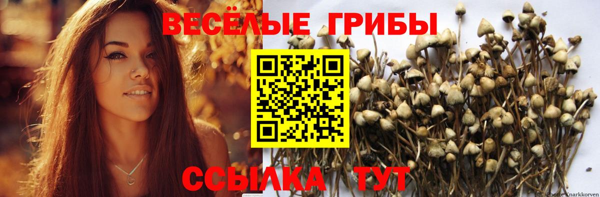 Псилоцибиновые грибы мухоморы  Вход с VPN  Саров 